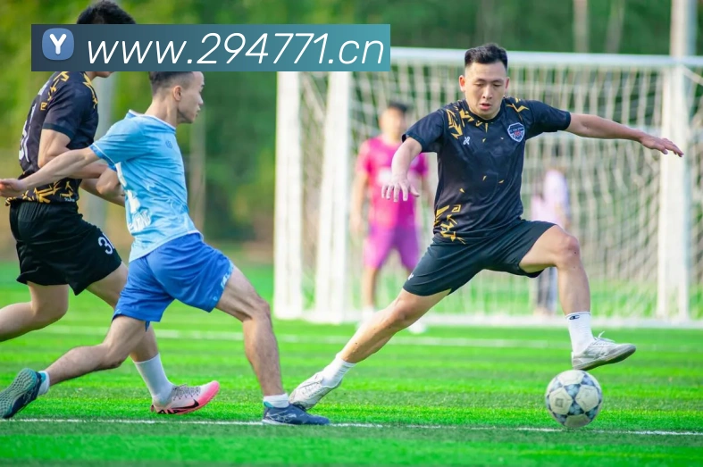 多媒体互动体验